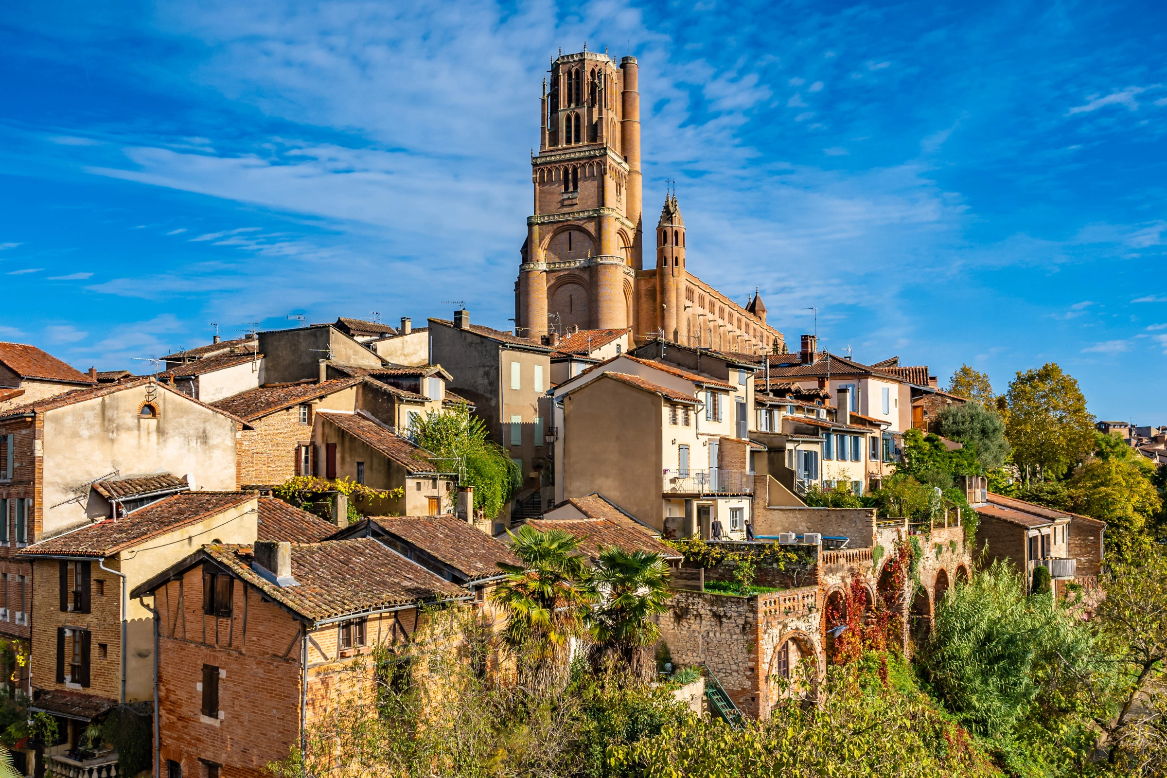 Albi[1].webp